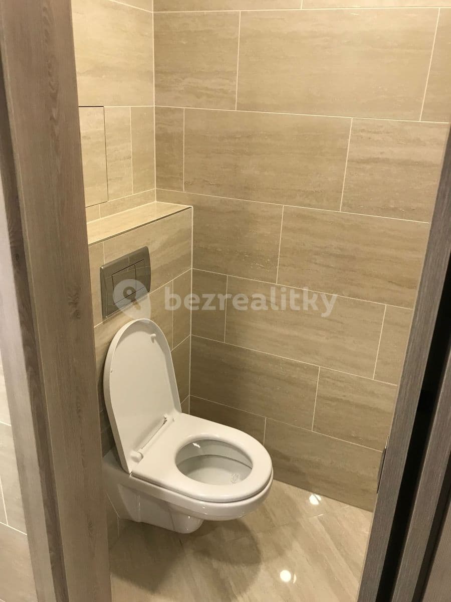 Studio flat to rent, 30 m², Petrohradská, Prague, Prague Studio flat to rent, 30 m², Petrohradská, Prague, Prague