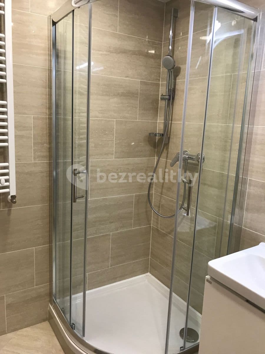Studio flat to rent, 30 m², Petrohradská, Prague, Prague Studio flat to rent, 30 m², Petrohradská, Prague, Prague
