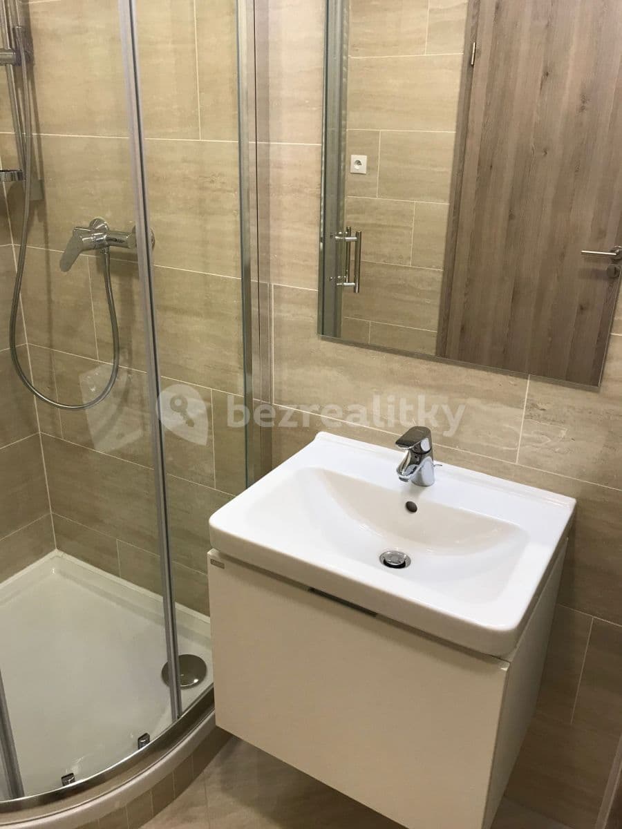 Studio flat to rent, 30 m², Petrohradská, Prague, Prague Studio flat to rent, 30 m², Petrohradská, Prague, Prague