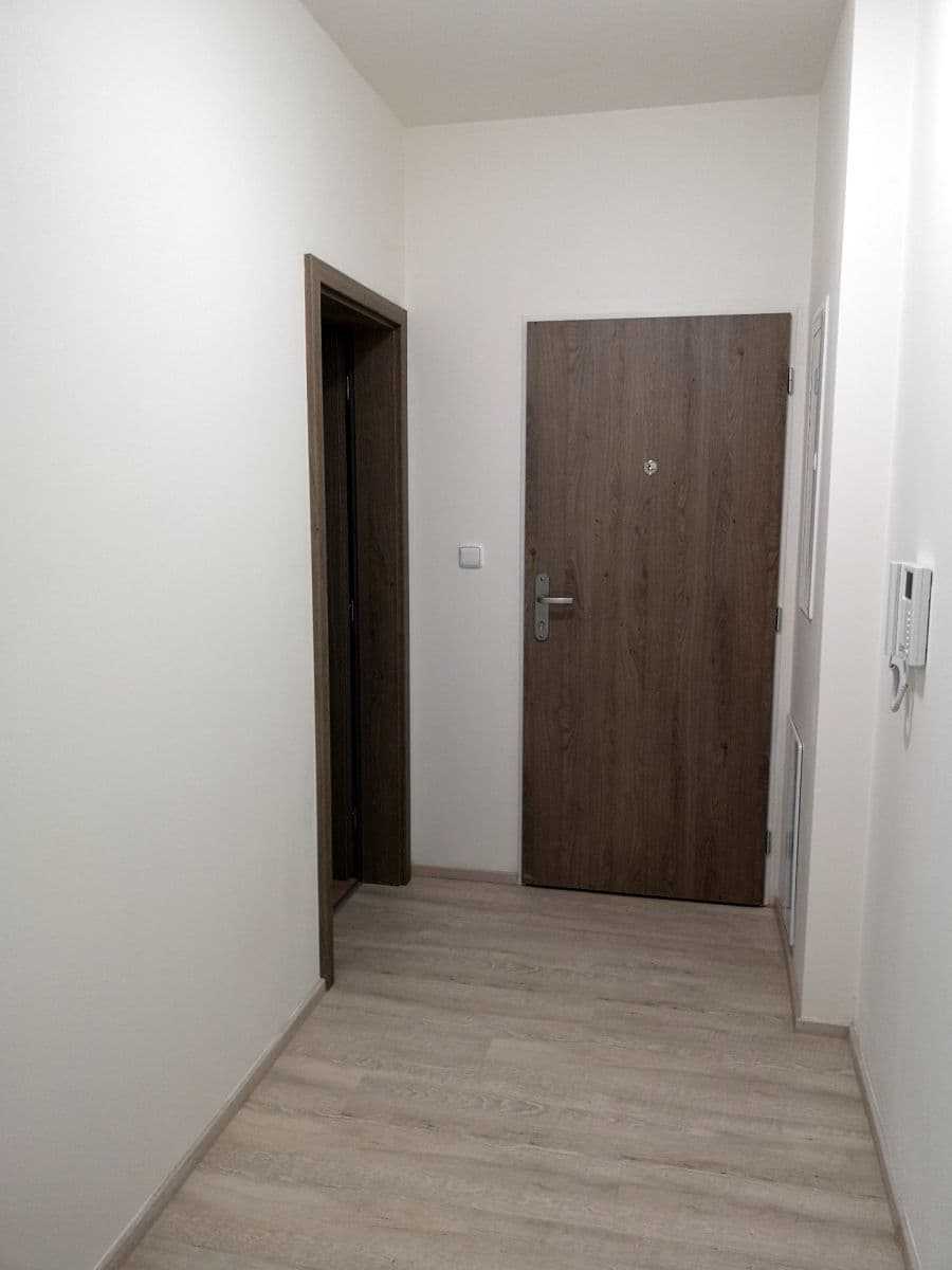 1 bedroom with open-plan kitchen flat to rent, 60 m², Kadečkové, Prague, Prague 1 bedroom with open-plan kitchen flat to rent, 60 m², Kadečkové, Prague, Prague