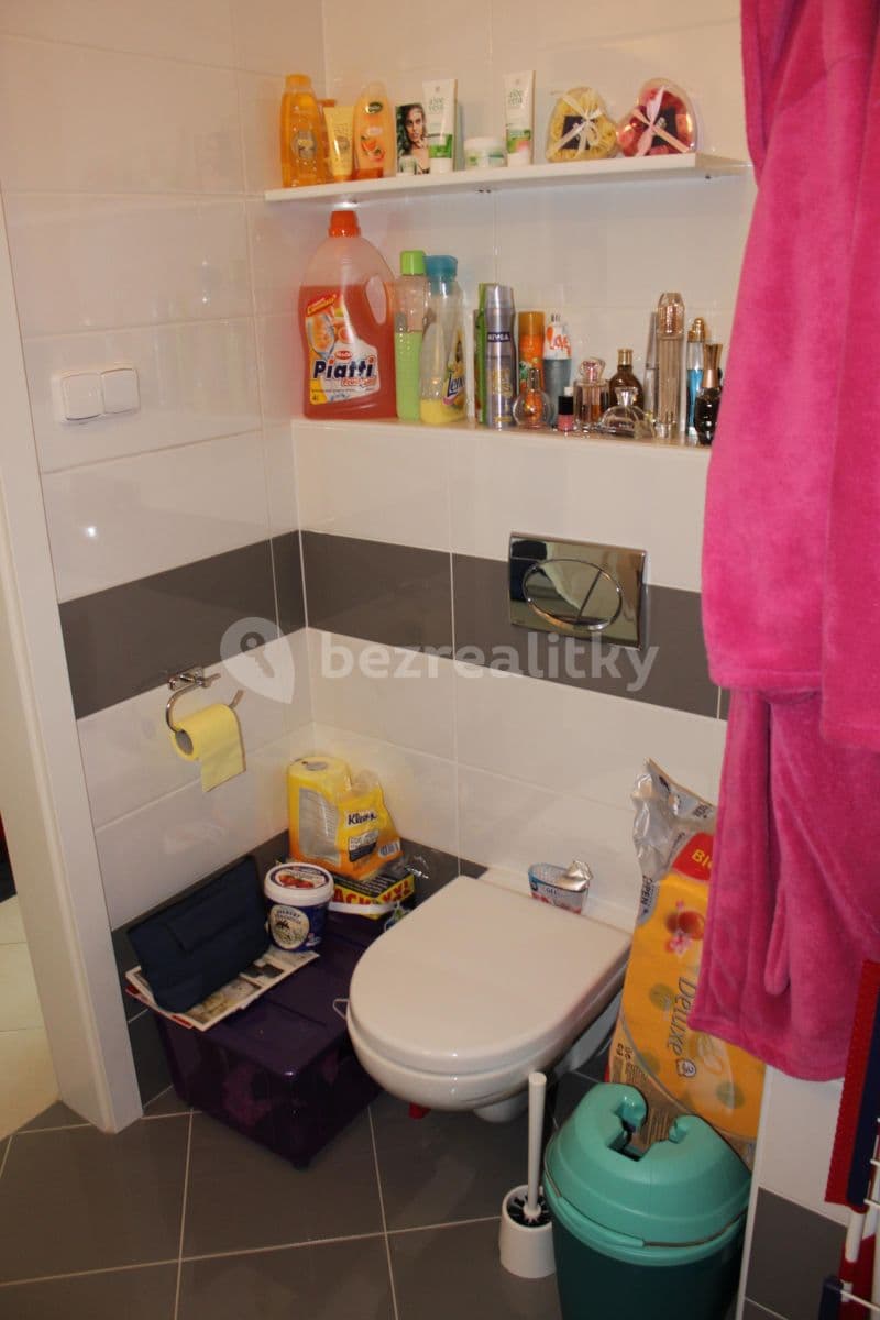 Studio flat to rent, 30 m², Prušánecká, Prague, Prague Studio flat to rent, 30 m², Prušánecká, Prague, Prague