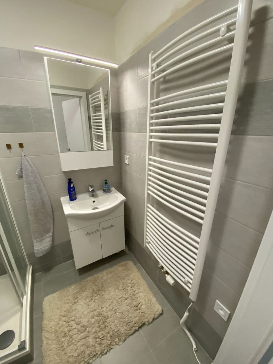 1 bedroom with open-plan kitchen flat to rent, 52 m², Na Okraji, Prague, Prague 1 bedroom with open-plan kitchen flat to rent, 52 m², Na Okraji, Prague, Prague