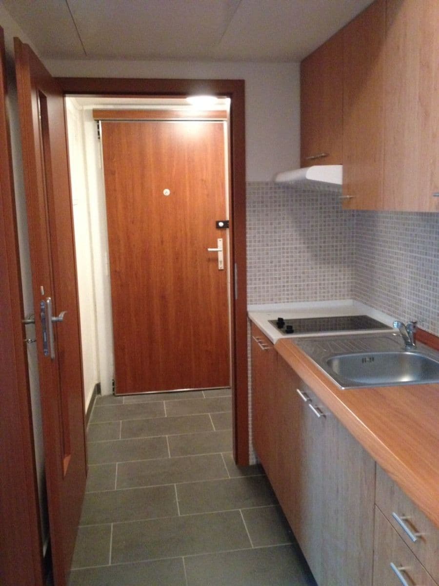 1 bedroom with open-plan kitchen flat to rent, 45 m², Pod Karlovem, Prague, Prague 1 bedroom with open-plan kitchen flat to rent, 45 m², Pod Karlovem, Prague, Prague