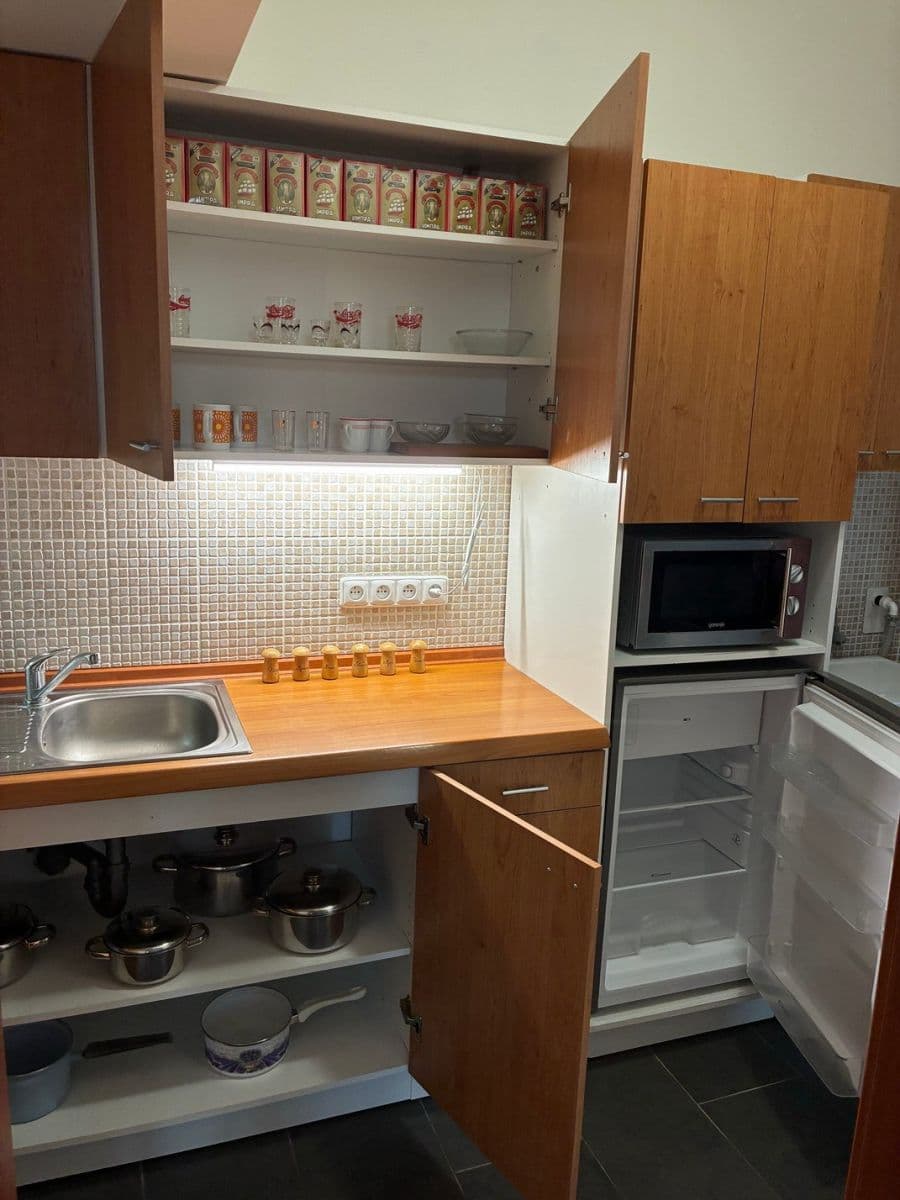 1 bedroom with open-plan kitchen flat to rent, 45 m², Pod Karlovem, Prague, Prague 1 bedroom with open-plan kitchen flat to rent, 45 m², Pod Karlovem, Prague, Prague