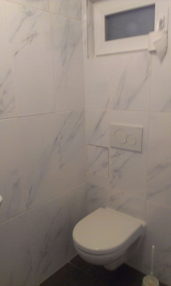 1 bedroom with open-plan kitchen flat to rent, 45 m², Pod Karlovem, Prague, Prague 1 bedroom with open-plan kitchen flat to rent, 45 m², Pod Karlovem, Prague, Prague