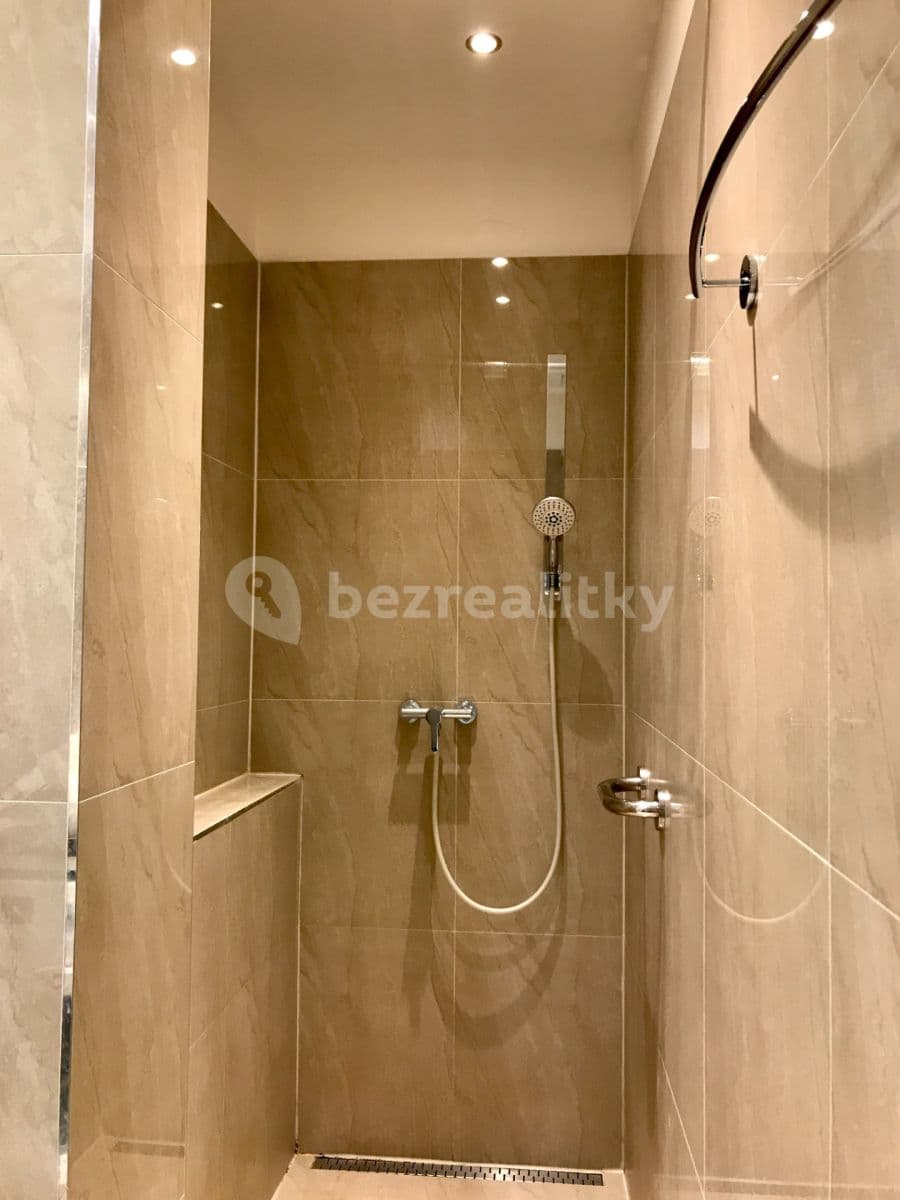 1 bedroom with open-plan kitchen flat to rent, 72 m², Milady Horákové, Prague, Prague 1 bedroom with open-plan kitchen flat to rent, 72 m², Milady Horákové, Prague, Prague