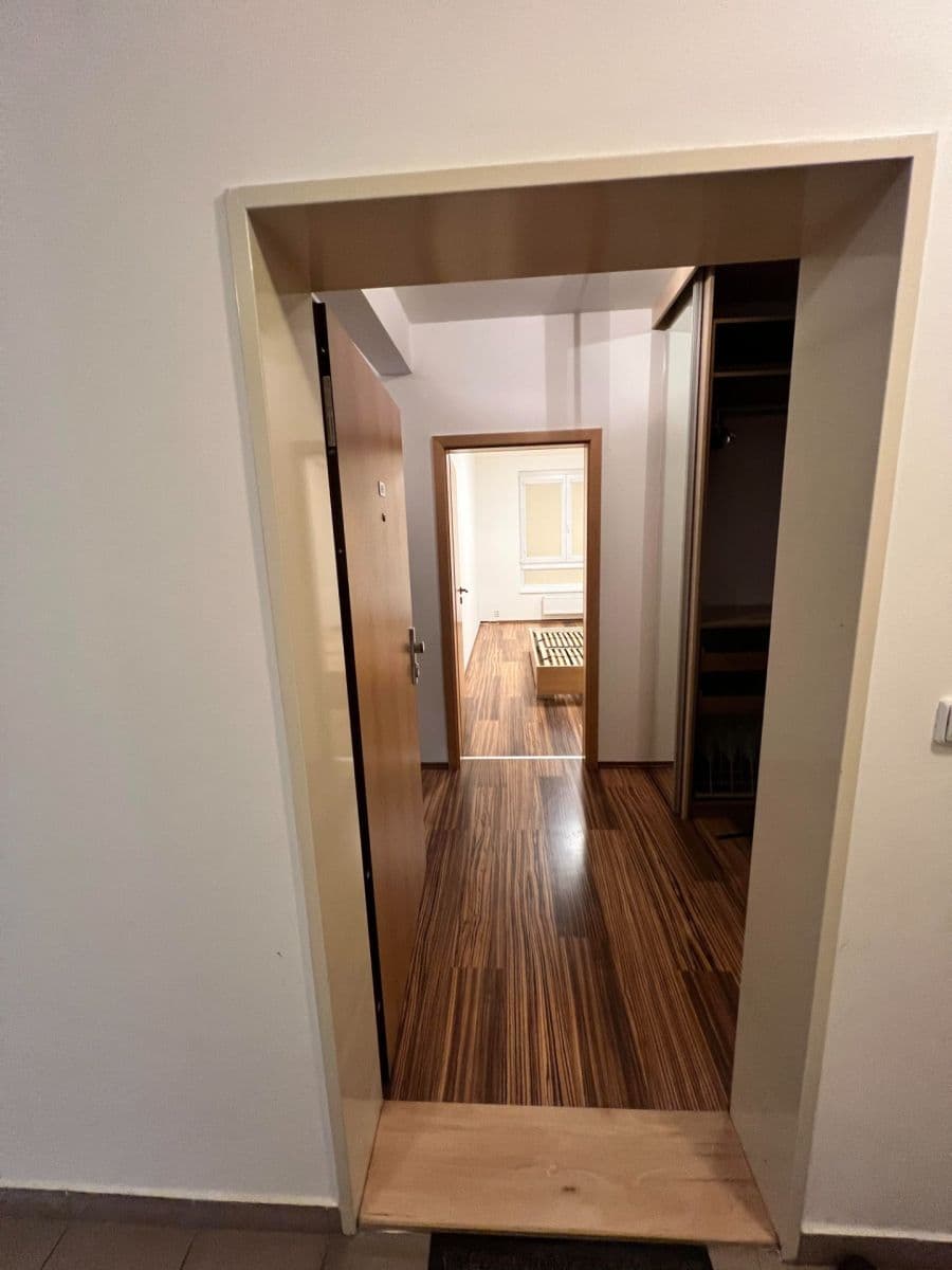 1 bedroom with open-plan kitchen flat to rent, 61 m², Marty Krásové, Prague, Prague 1 bedroom with open-plan kitchen flat to rent, 61 m², Marty Krásové, Prague, Prague