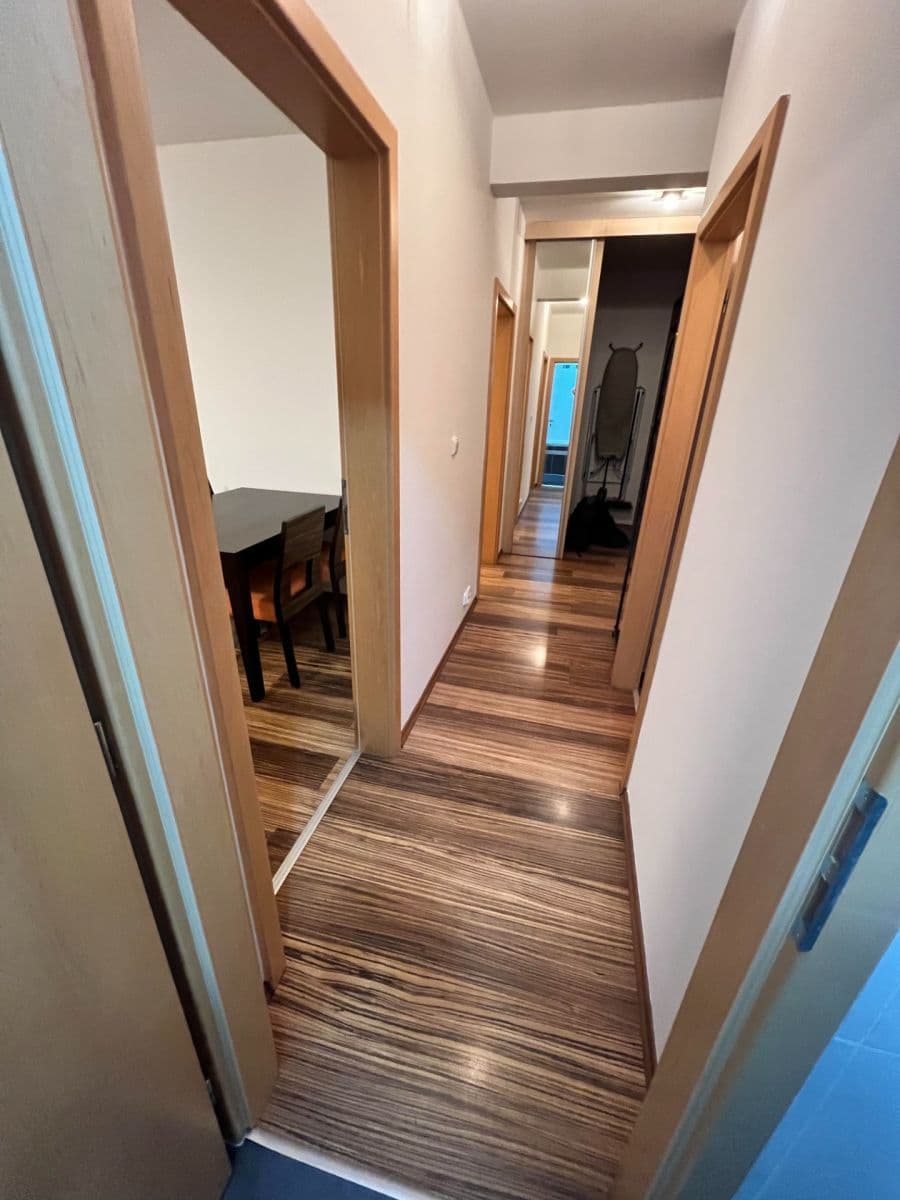 1 bedroom with open-plan kitchen flat to rent, 61 m², Marty Krásové, Prague, Prague 1 bedroom with open-plan kitchen flat to rent, 61 m², Marty Krásové, Prague, Prague