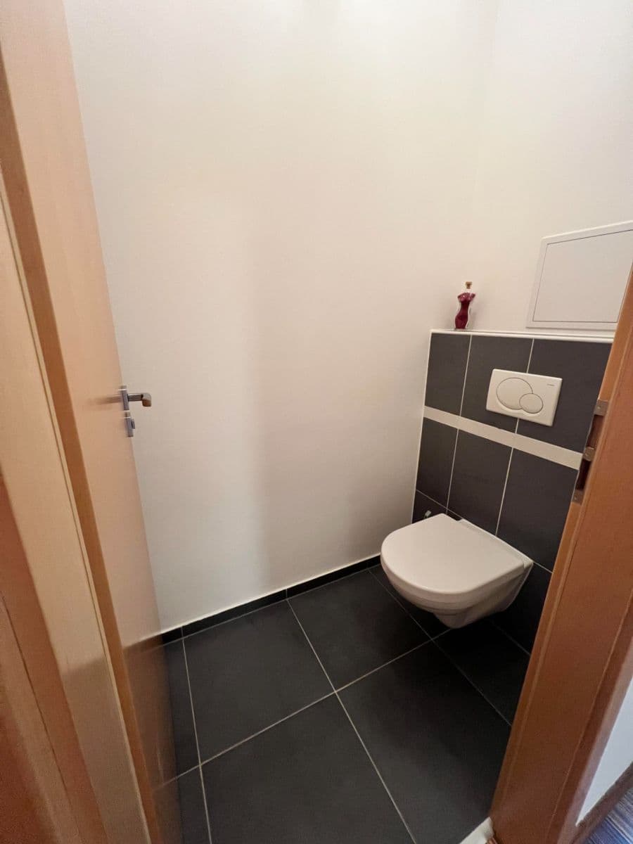 1 bedroom with open-plan kitchen flat to rent, 61 m², Marty Krásové, Prague, Prague 1 bedroom with open-plan kitchen flat to rent, 61 m², Marty Krásové, Prague, Prague