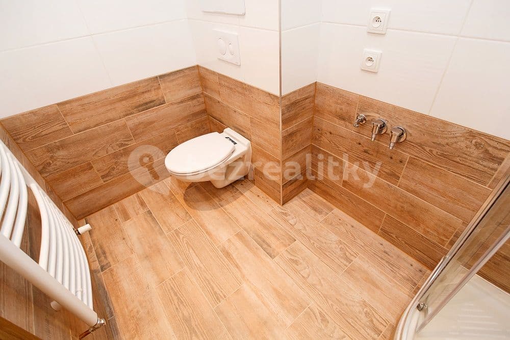 1 bedroom with open-plan kitchen flat to rent, 41 m², Sokolovská, Ostrava, Moravskoslezský Region 1 bedroom with open-plan kitchen flat to rent, 41 m², Sokolovská, Ostrava, Moravskoslezský Region