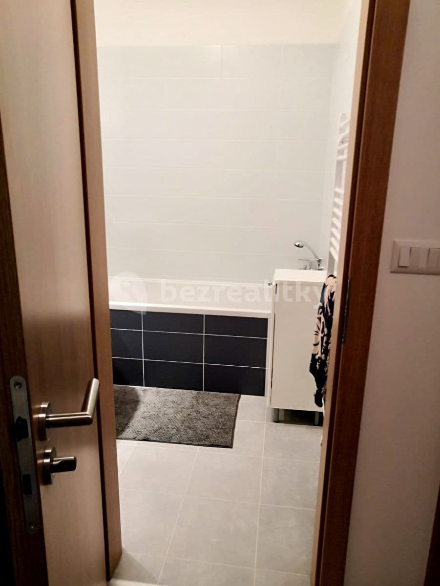 1 bedroom with open-plan kitchen flat to rent, 61 m², Tryskovická, Prague, Prague 1 bedroom with open-plan kitchen flat to rent, 61 m², Tryskovická, Prague, Prague