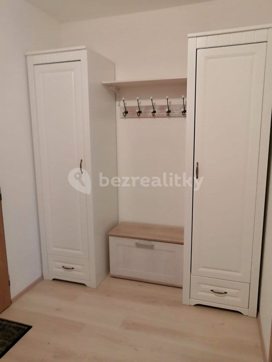 1 bedroom with open-plan kitchen flat to rent, 61 m², Tryskovická, Prague, Prague 1 bedroom with open-plan kitchen flat to rent, 61 m², Tryskovická, Prague, Prague