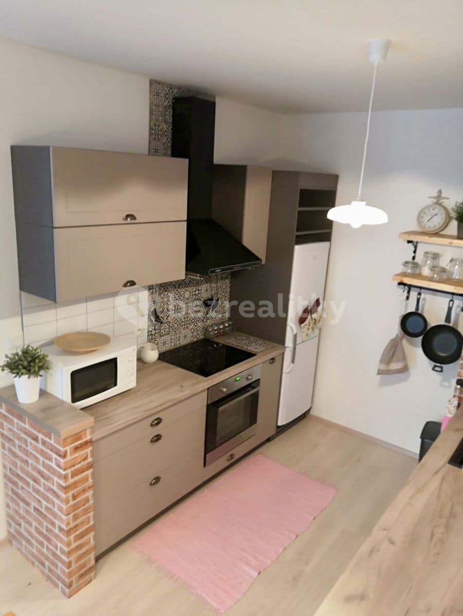 1 bedroom with open-plan kitchen flat to rent, 61 m², Tryskovická, Prague, Prague 1 bedroom with open-plan kitchen flat to rent, 61 m², Tryskovická, Prague, Prague