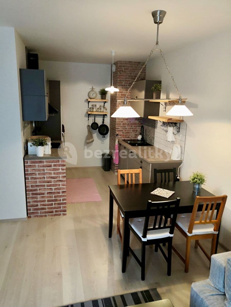 1 bedroom with open-plan kitchen flat to rent, 61 m², Tryskovická, Prague, Prague 1 bedroom with open-plan kitchen flat to rent, 61 m², Tryskovická, Prague, Prague