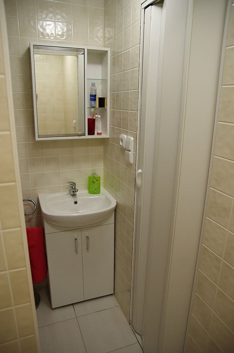 1 bedroom with open-plan kitchen flat to rent, 39 m², Na úlehli, Prague, Prague 1 bedroom with open-plan kitchen flat to rent, 39 m², Na úlehli, Prague, Prague