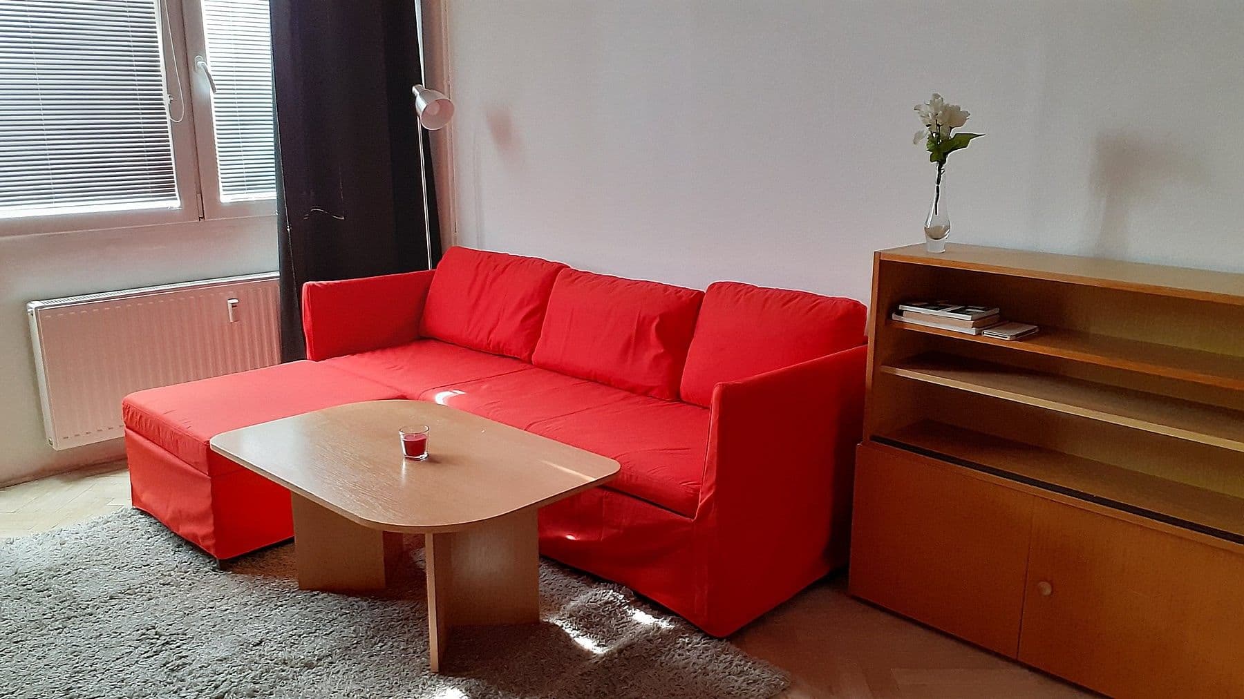 1 bedroom with open-plan kitchen flat to rent, 39 m², Na úlehli, Prague, Prague 1 bedroom with open-plan kitchen flat to rent, 39 m², Na úlehli, Prague, Prague