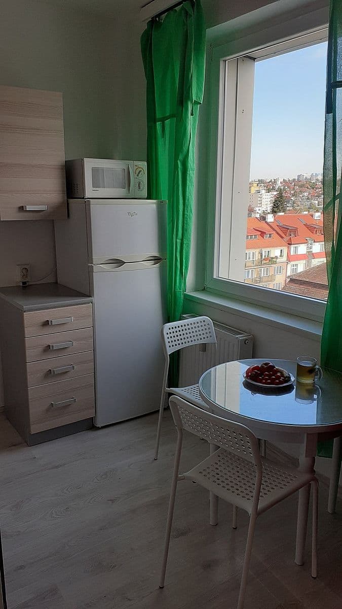 1 bedroom with open-plan kitchen flat to rent, 39 m², Na úlehli, Prague, Prague 1 bedroom with open-plan kitchen flat to rent, 39 m², Na úlehli, Prague, Prague