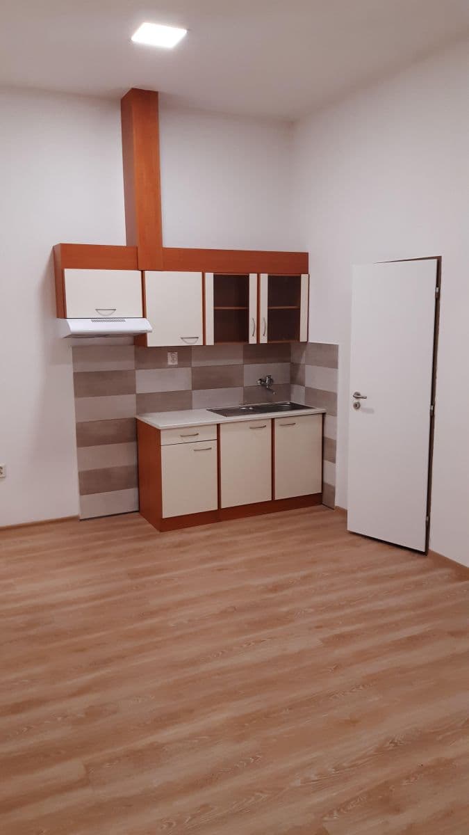 1 bedroom with open-plan kitchen flat to rent, 50 m², Dolní hejčínská, Olomouc, Olomoucký Region 1 bedroom with open-plan kitchen flat to rent, 50 m², Dolní hejčínská, Olomouc, Olomoucký Region