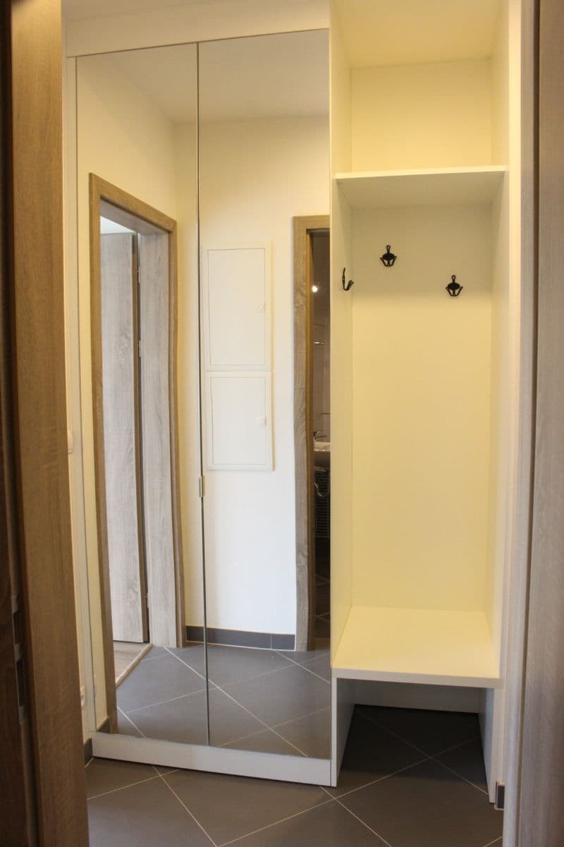 1 bedroom with open-plan kitchen flat to rent, 55 m², Mantovská, Prague, Prague 1 bedroom with open-plan kitchen flat to rent, 55 m², Mantovská, Prague, Prague