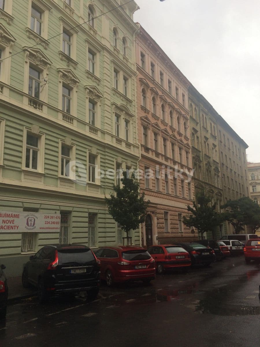 1 bedroom with open-plan kitchen flat to rent, 50 m², Wenzigova, Prague, Prague 1 bedroom with open-plan kitchen flat to rent, 50 m², Wenzigova, Prague, Prague