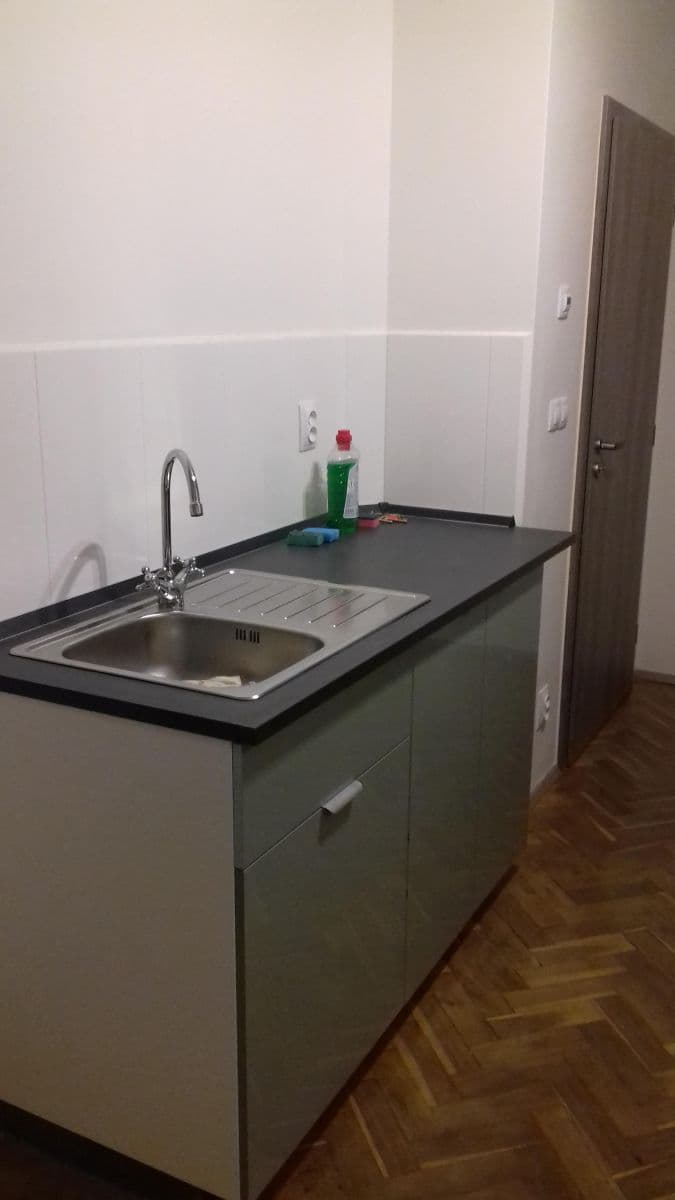 1 bedroom with open-plan kitchen flat to rent, 47 m², Sdružení, Prague, Prague 1 bedroom with open-plan kitchen flat to rent, 47 m², Sdružení, Prague, Prague