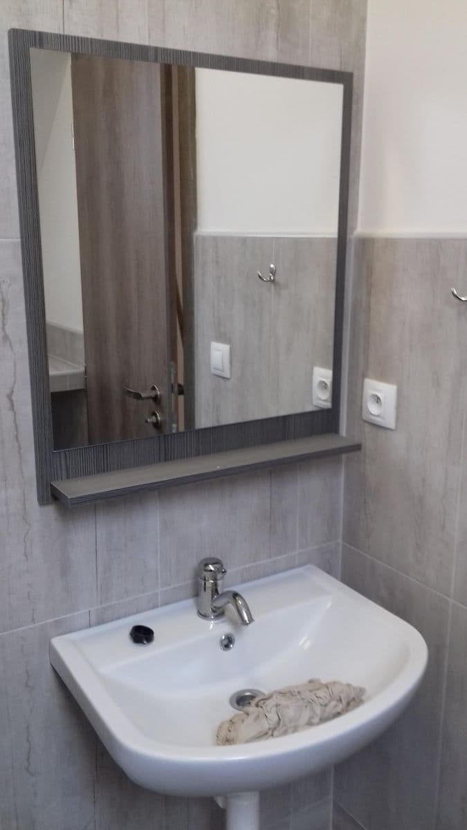 1 bedroom with open-plan kitchen flat to rent, 47 m², Sdružení, Prague, Prague 1 bedroom with open-plan kitchen flat to rent, 47 m², Sdružení, Prague, Prague