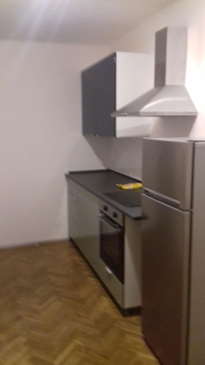 1 bedroom with open-plan kitchen flat to rent, 47 m², Sdružení, Prague, Prague 1 bedroom with open-plan kitchen flat to rent, 47 m², Sdružení, Prague, Prague