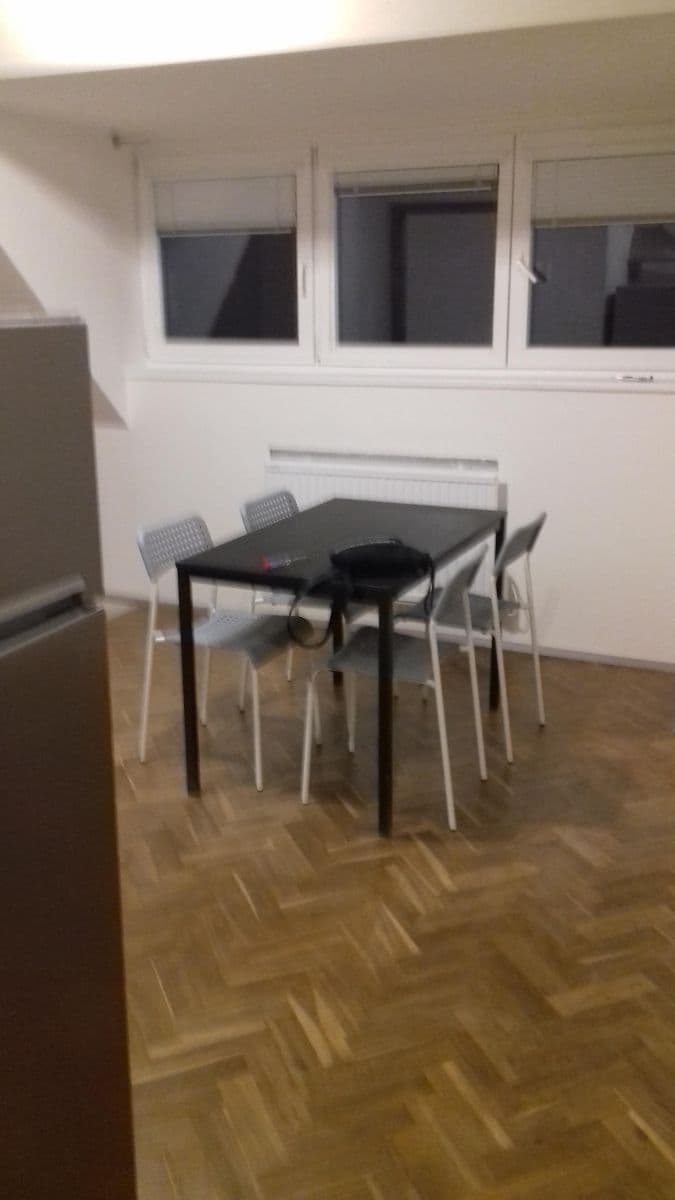 1 bedroom with open-plan kitchen flat to rent, 47 m², Sdružení, Prague, Prague 1 bedroom with open-plan kitchen flat to rent, 47 m², Sdružení, Prague, Prague
