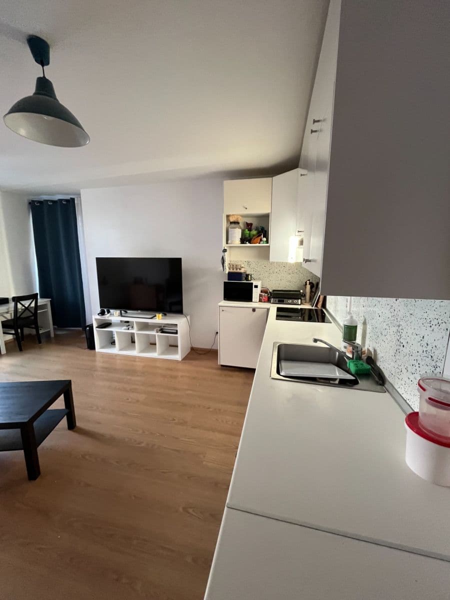 1 bedroom with open-plan kitchen flat to rent, 52 m², Vrátenská, Prague, Prague 1 bedroom with open-plan kitchen flat to rent, 52 m², Vrátenská, Prague, Prague