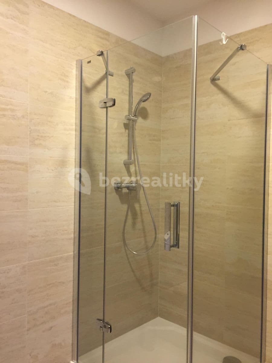 1 bedroom with open-plan kitchen flat to rent, 43 m², Pod dvorem, Prague, Prague 1 bedroom with open-plan kitchen flat to rent, 43 m², Pod dvorem, Prague, Prague