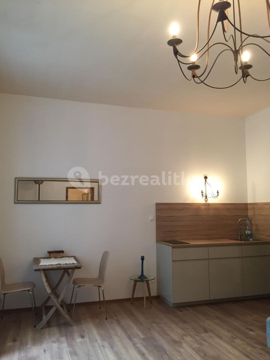 1 bedroom with open-plan kitchen flat to rent, 43 m², Pod dvorem, Prague, Prague 1 bedroom with open-plan kitchen flat to rent, 43 m², Pod dvorem, Prague, Prague