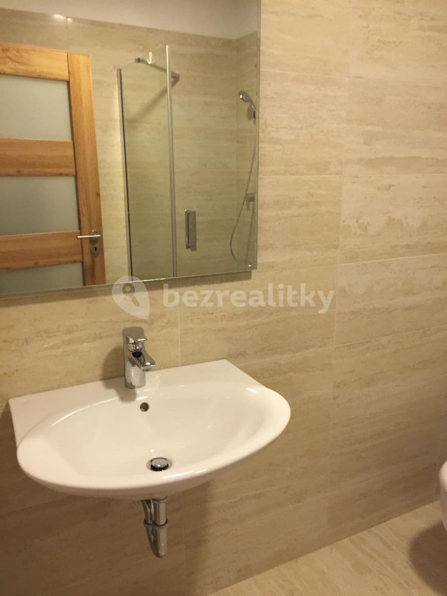 1 bedroom with open-plan kitchen flat to rent, 43 m², Pod dvorem, Prague, Prague 1 bedroom with open-plan kitchen flat to rent, 43 m², Pod dvorem, Prague, Prague