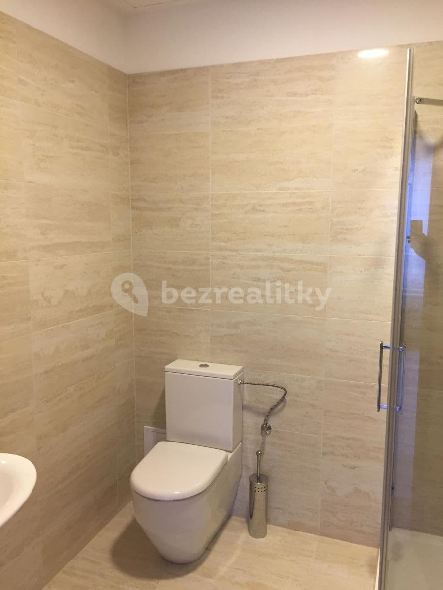 1 bedroom with open-plan kitchen flat to rent, 43 m², Pod dvorem, Prague, Prague 1 bedroom with open-plan kitchen flat to rent, 43 m², Pod dvorem, Prague, Prague