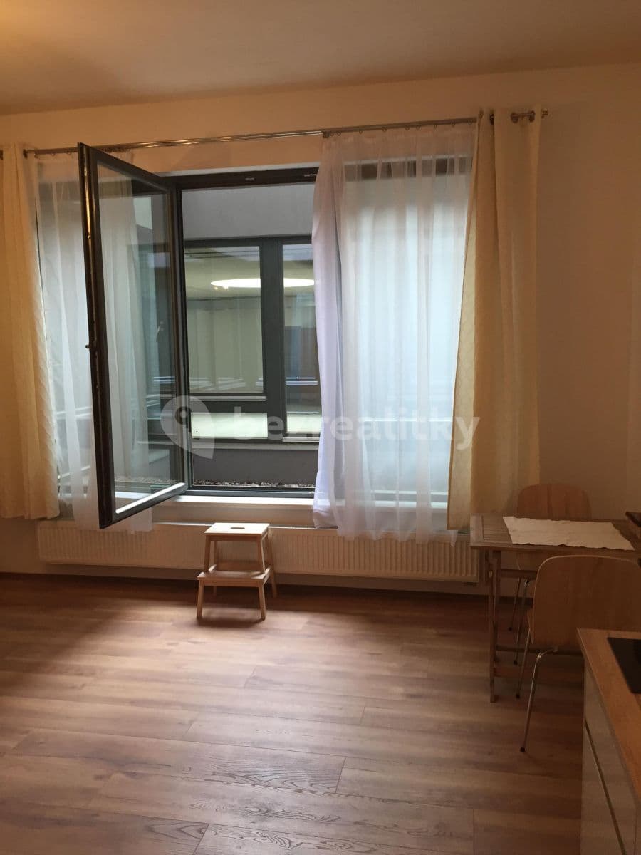 1 bedroom with open-plan kitchen flat to rent, 43 m², Pod dvorem, Prague, Prague 1 bedroom with open-plan kitchen flat to rent, 43 m², Pod dvorem, Prague, Prague