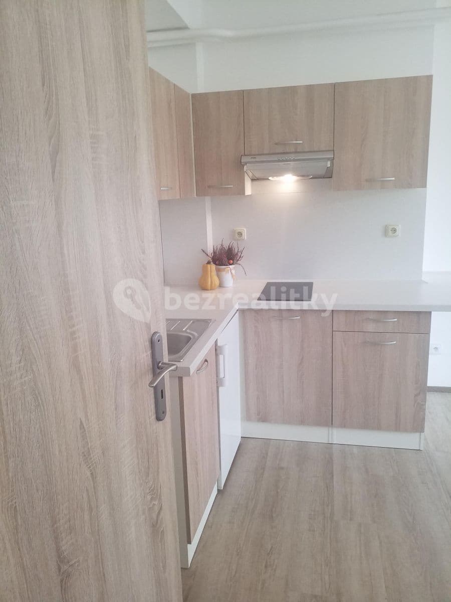 Studio flat to rent, 25 m², Mlýnská, Brno, Jihomoravský Region Studio flat to rent, 25 m², Mlýnská, Brno, Jihomoravský Region