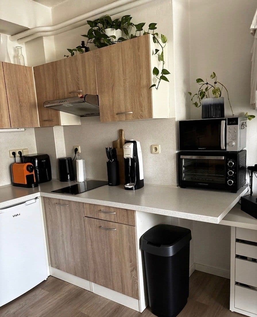 Studio flat to rent, 25 m², Mlýnská, Brno, Jihomoravský Region Studio flat to rent, 25 m², Mlýnská, Brno, Jihomoravský Region
