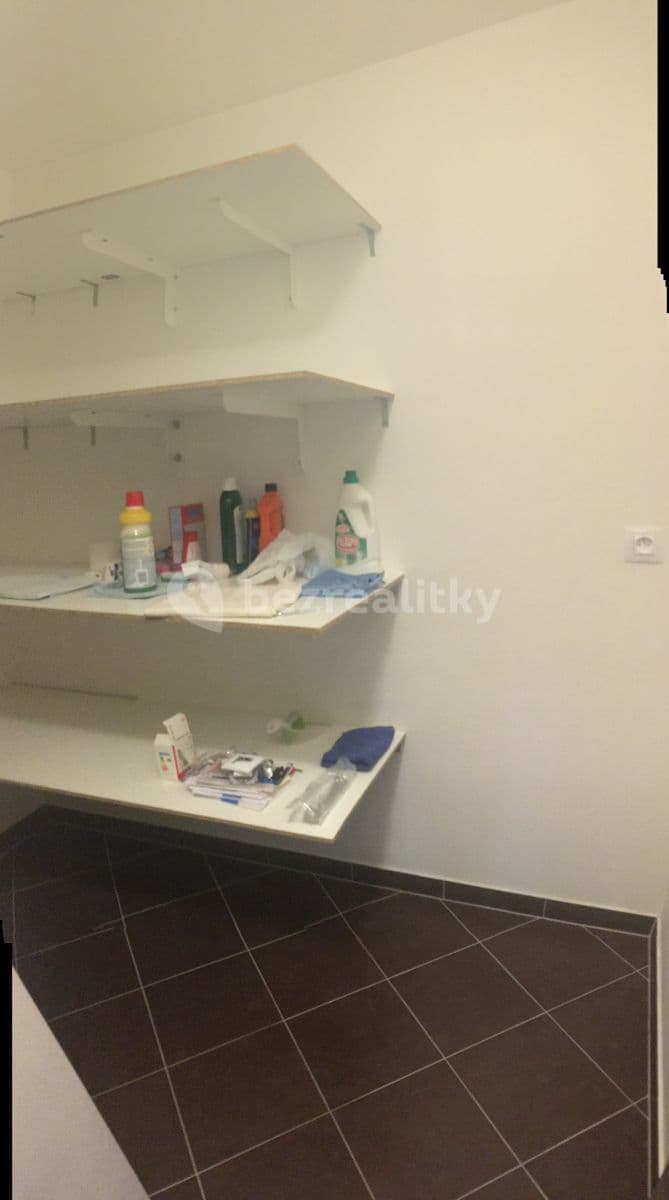 1 bedroom with open-plan kitchen flat to rent, 51 m², Hlučkova, Prague, Prague 1 bedroom with open-plan kitchen flat to rent, 51 m², Hlučkova, Prague, Prague