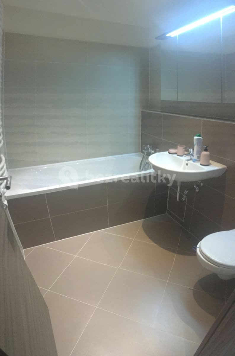 1 bedroom with open-plan kitchen flat to rent, 51 m², Hlučkova, Prague, Prague 1 bedroom with open-plan kitchen flat to rent, 51 m², Hlučkova, Prague, Prague