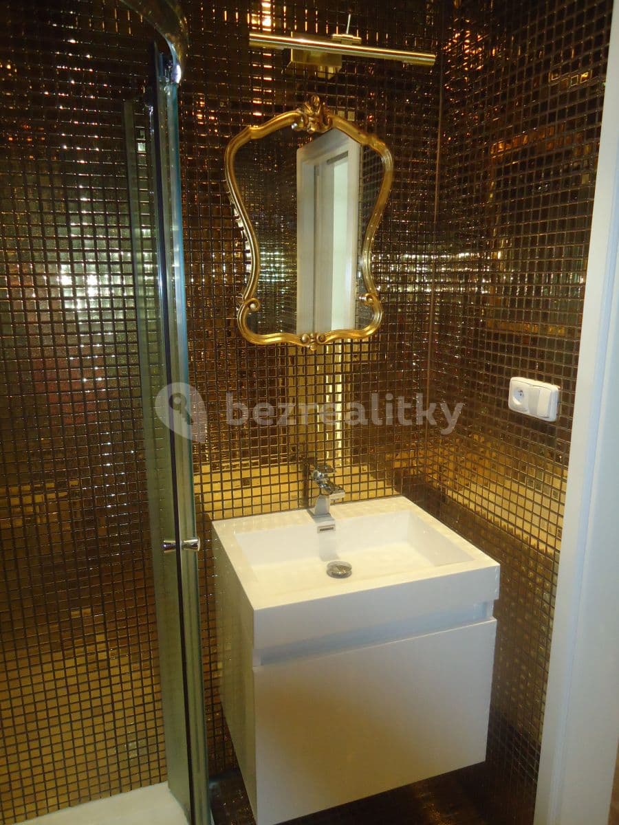 1 bedroom with open-plan kitchen flat to rent, 47 m², Újezd, Prague, Prague 1 bedroom with open-plan kitchen flat to rent, 47 m², Újezd, Prague, Prague