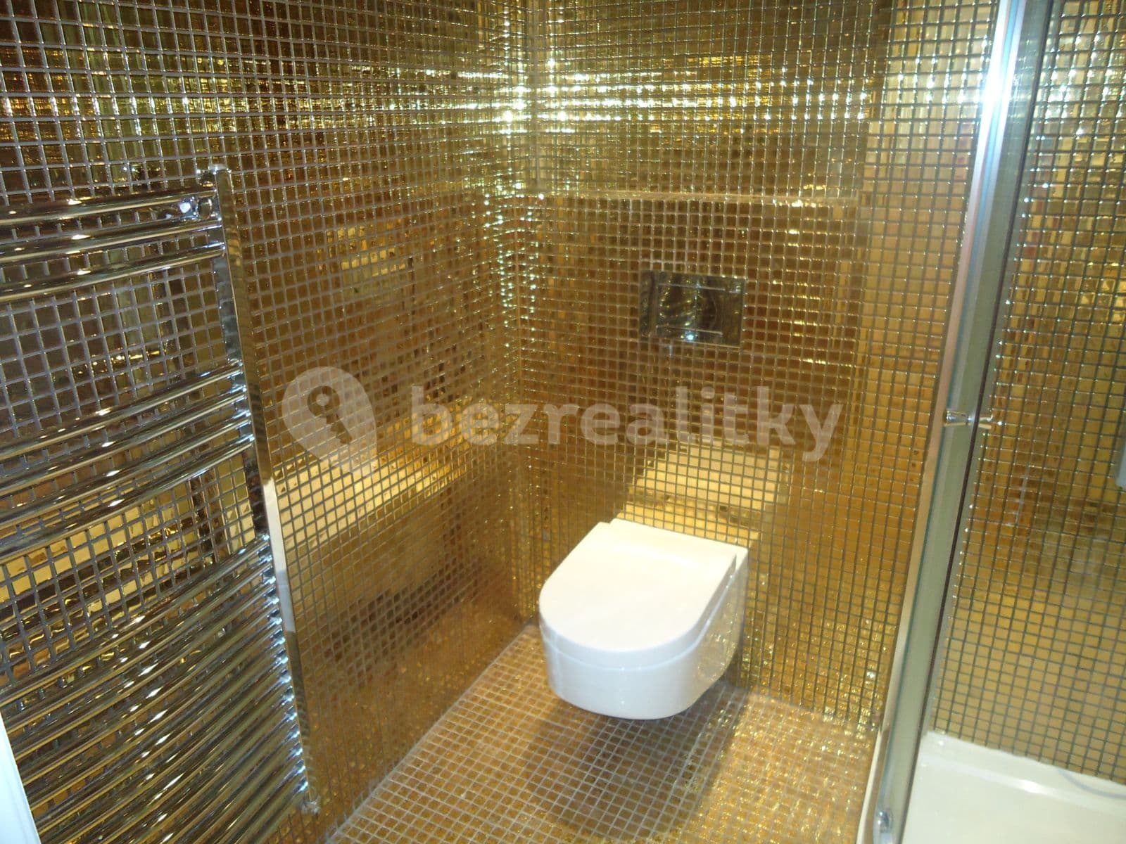 1 bedroom with open-plan kitchen flat to rent, 47 m², Újezd, Prague, Prague 1 bedroom with open-plan kitchen flat to rent, 47 m², Újezd, Prague, Prague