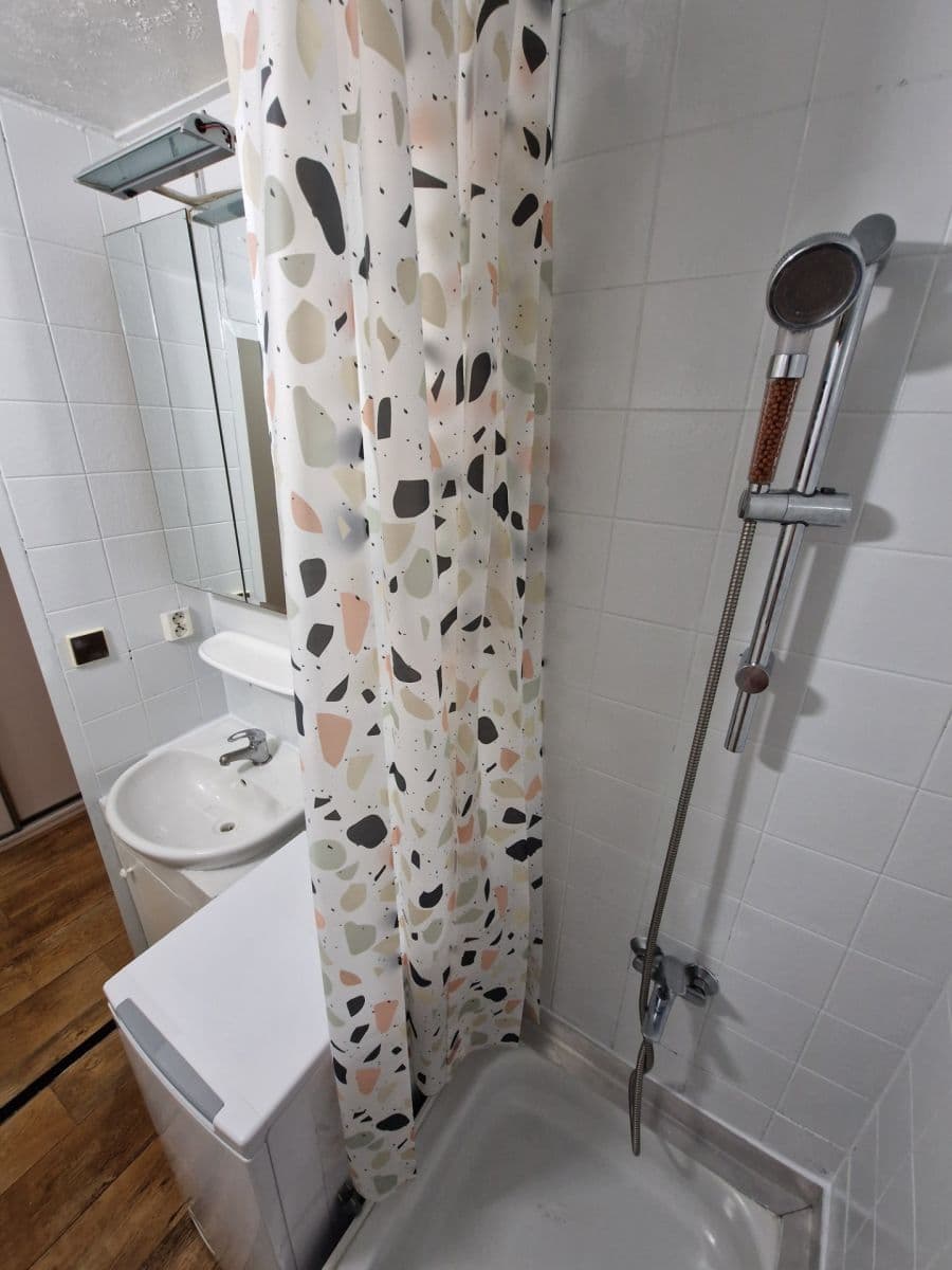 1 bedroom with open-plan kitchen flat to rent, 45 m², Vašátkova, Prague, Prague 1 bedroom with open-plan kitchen flat to rent, 45 m², Vašátkova, Prague, Prague