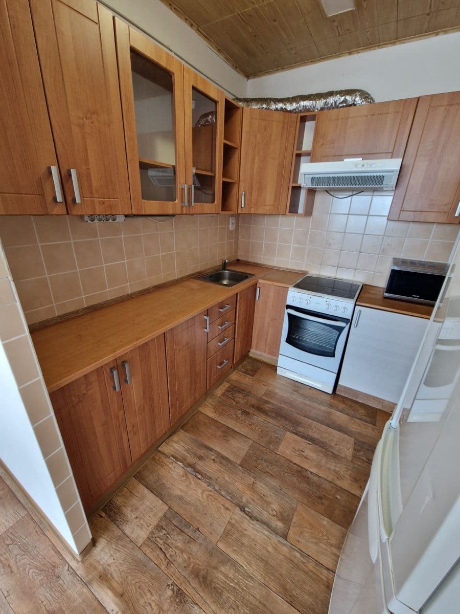 1 bedroom with open-plan kitchen flat to rent, 45 m², Vašátkova, Prague, Prague 1 bedroom with open-plan kitchen flat to rent, 45 m², Vašátkova, Prague, Prague