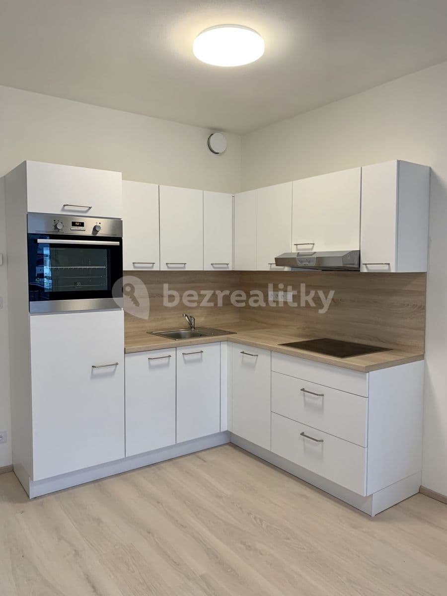 1 bedroom with open-plan kitchen flat to rent, 52 m², Mantovská, Prague, Prague 1 bedroom with open-plan kitchen flat to rent, 52 m², Mantovská, Prague, Prague