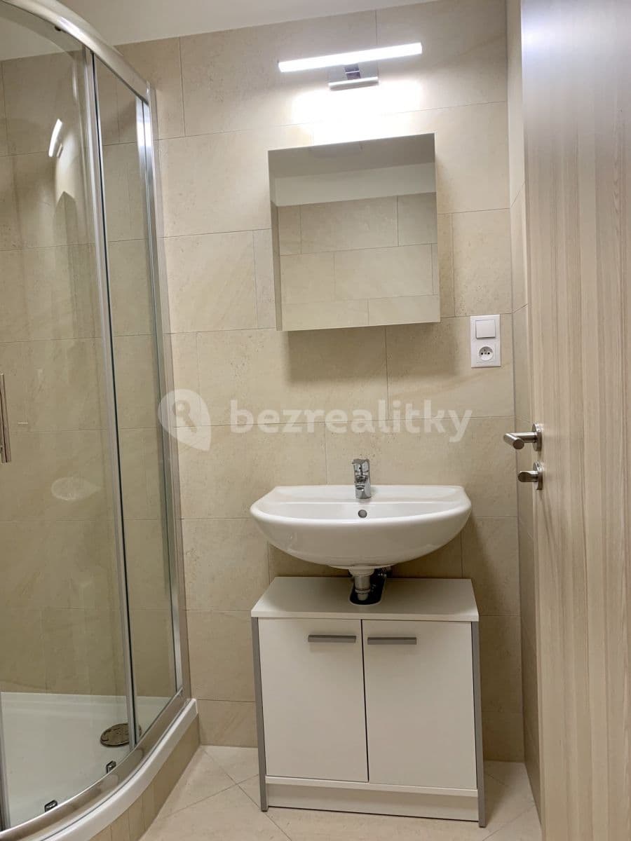 1 bedroom with open-plan kitchen flat to rent, 52 m², Mantovská, Prague, Prague 1 bedroom with open-plan kitchen flat to rent, 52 m², Mantovská, Prague, Prague