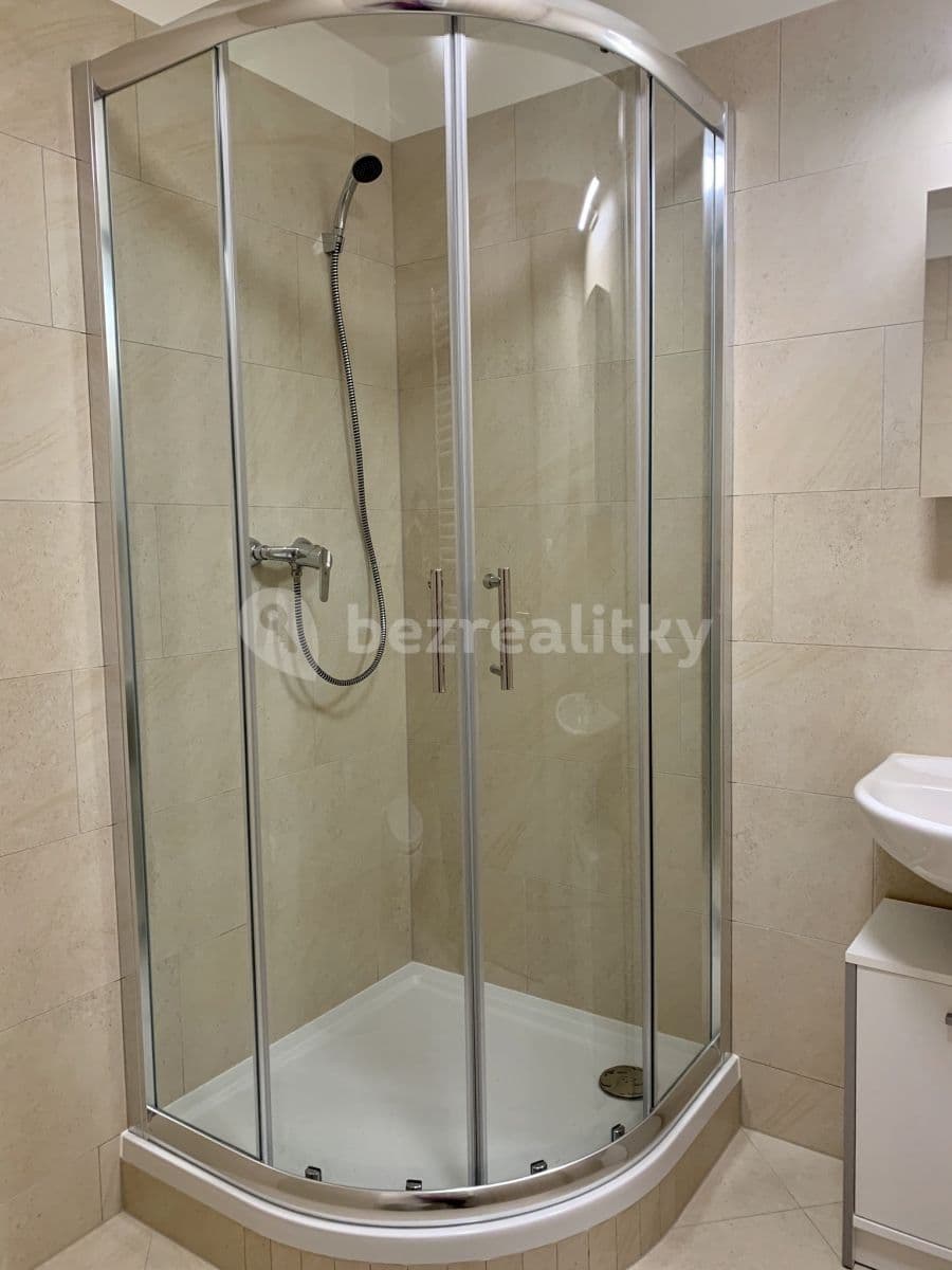1 bedroom with open-plan kitchen flat to rent, 52 m², Mantovská, Prague, Prague 1 bedroom with open-plan kitchen flat to rent, 52 m², Mantovská, Prague, Prague