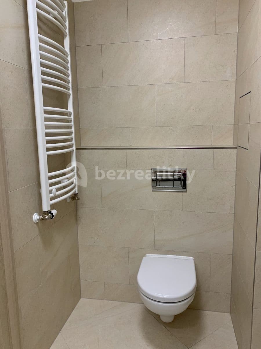 1 bedroom with open-plan kitchen flat to rent, 52 m², Mantovská, Prague, Prague 1 bedroom with open-plan kitchen flat to rent, 52 m², Mantovská, Prague, Prague