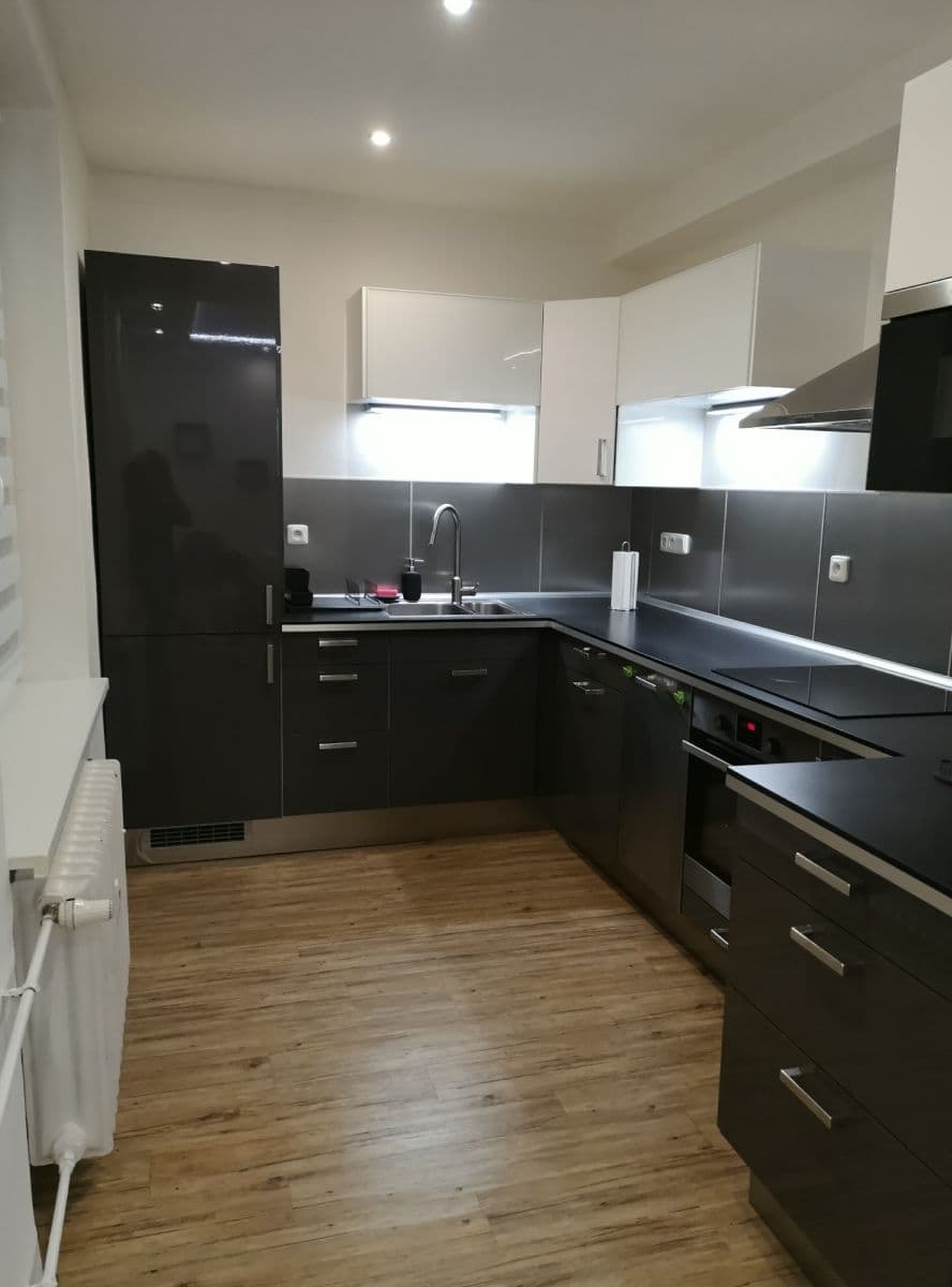 1 bedroom with open-plan kitchen flat to rent, 53 m², Hartigova, Prague, Prague 1 bedroom with open-plan kitchen flat to rent, 53 m², Hartigova, Prague, Prague