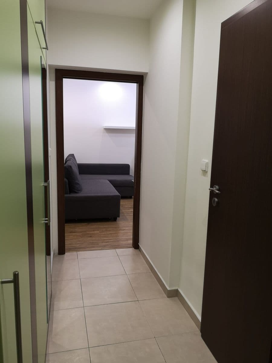 1 bedroom with open-plan kitchen flat to rent, 53 m², Hartigova, Prague, Prague 1 bedroom with open-plan kitchen flat to rent, 53 m², Hartigova, Prague, Prague