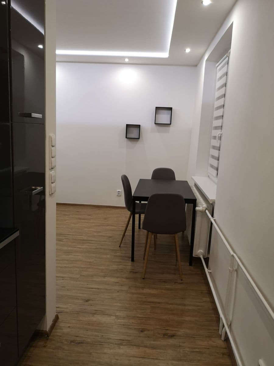 1 bedroom with open-plan kitchen flat to rent, 53 m², Hartigova, Prague, Prague 1 bedroom with open-plan kitchen flat to rent, 53 m², Hartigova, Prague, Prague
