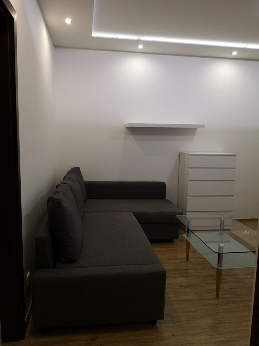 1 bedroom with open-plan kitchen flat to rent, 53 m², Hartigova, Prague, Prague 1 bedroom with open-plan kitchen flat to rent, 53 m², Hartigova, Prague, Prague